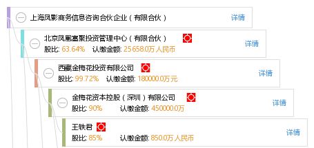 上海鳳影商務信息咨詢合伙企業 有限合伙