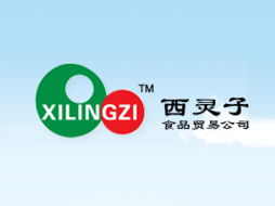 東莞市西靈子食品貿易 開啟飲料行業新商機，火爆糖酒食品招商網助力代理合作